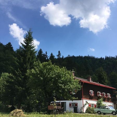 Gatterl zum See Reit im Winkl Exterior foto
