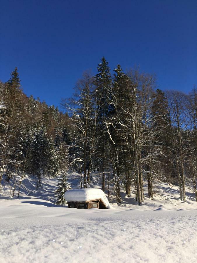 Gatterl zum See Reit im Winkl Exterior foto